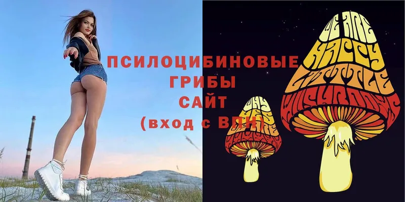 где продают наркотики  Вельск  Галлюциногенные грибы Magic Shrooms 